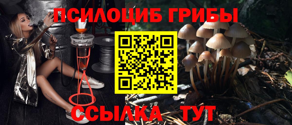 Рубцовск  Псилоцибиновые грибы мухоморы  Вход с VPN 